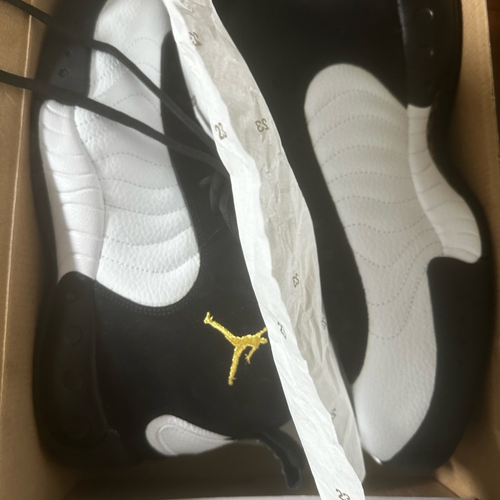 Jordon Jumpman Pro Shoes New in Box